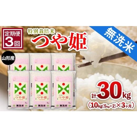 ふるさと納税 無洗米 山形県 山形市 定期便3回 山形産 特別栽培米 無洗米 つや姫 10kg(5kg×2)x3ヶ月(計30kg) FY25-480