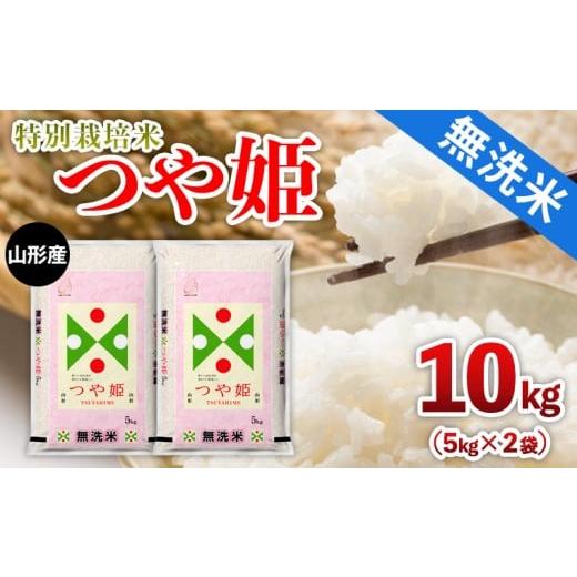 ふるさと納税 無洗米 山形県 山形市 山形産 特別栽培米 無洗米 つや姫 10kg(5kg×2) FY25-482