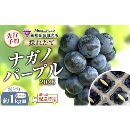 ふるさと納税 果物類 ぶどう 長野県 大町市 先行予約 B 2026 P ナガノパープル粒どり6パック 約1kg弱 (2026年10月初旬頃〜順次発送予定)長野県産 国際特許…