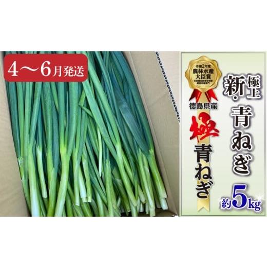 ふるさと納税 野菜類 ねぎ 徳島県 阿波市 4〜 6月発送 青ねぎ 5kg ネギ 訳あり 葱 極上 薬味 国産 野菜 阿波市 うどん ギョーザ 餃子 チャーハン 焼きネギ 徳…