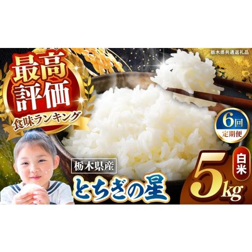 ふるさと納税 米 栃木県 矢板市 定期便6回 栃木県産 とちぎの星 白米 5kg 2026年 先行予約 | 栃木県 矢板市 6回 とちぎの星 5kg | 75600円