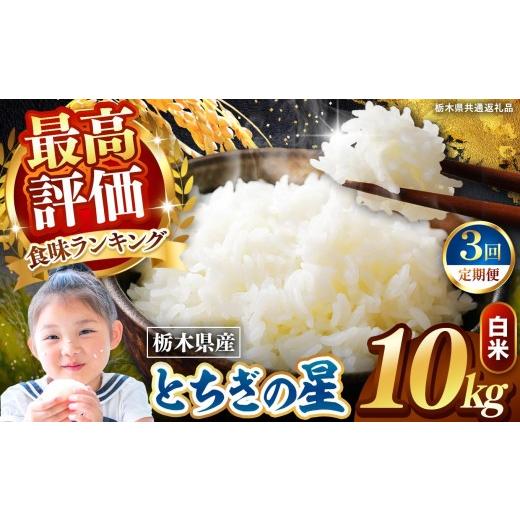 ふるさと納税 米 栃木県 矢板市 定期便3回 栃木県産 とちぎの星 白米 10kg 2026年 先行予約 | 栃木県 矢板市 3回 とちぎの星 10kg | 67800円