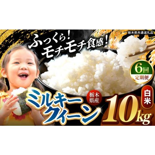ふるさと納税 米 コシヒカリ 栃木県 矢板市 定期便6回 栃木県産 ミルキークイーン 白米 10kg 2026年 先行予約 | 栃木県 矢板市 6回 白米 10kg | 135600円
