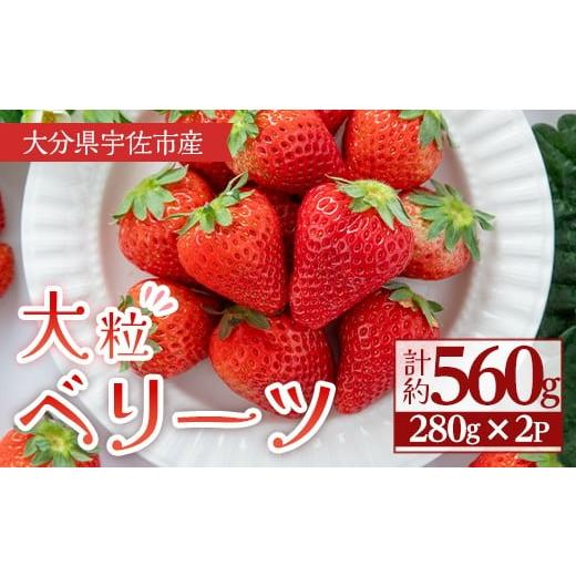 ふるさと納税 いちご 大分県 宇佐市 2026年1月上旬〜3月下旬の間に発送予定 大粒いちご(計約560g・280g×2P)苺 イチゴ フルーツ 果物 くだもの 果実 ベリーツ…