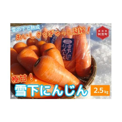 ふるさと納税 野菜類 人参 新潟県 阿賀町 雪下にんじん( 2.5 kg )