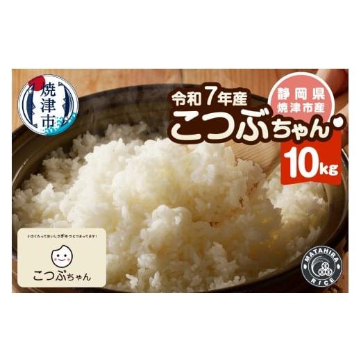 ふるさと納税 米 静岡県 焼津市 a24-064 令和7年産 おいしく節約 しあわせごはん お米の小粒ちゃん 10kg