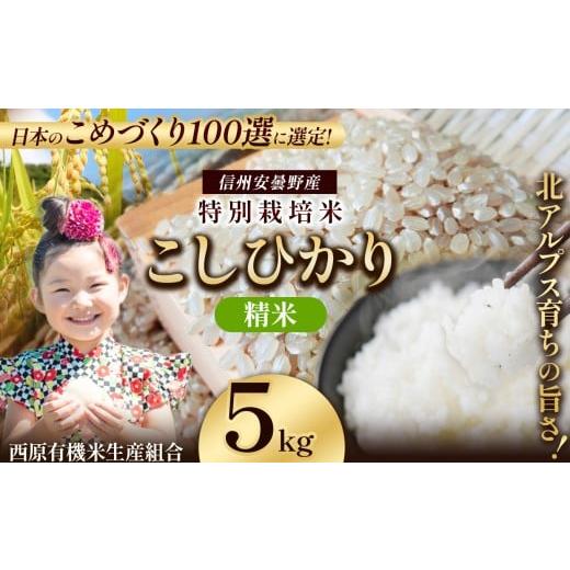 ふるさと納税 米 コシヒカリ 長野県 松川村 特別栽培米 松川村産 こしひかり 精米 約5Kg | 米 こめ コメ お米 白米 はくまい 精米 コシヒカリ こしひかり 特別…