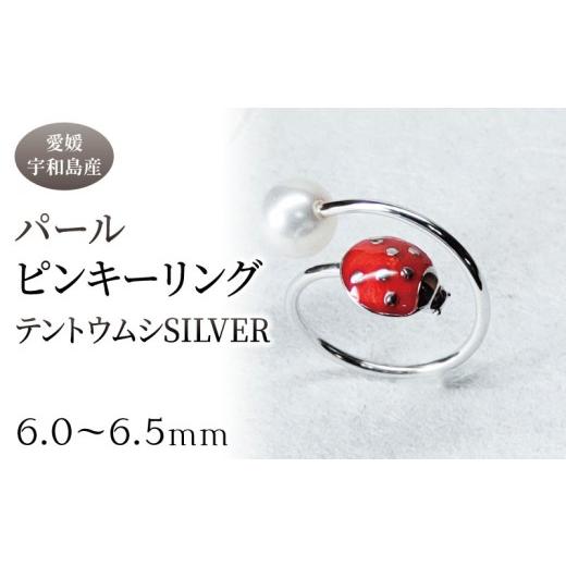 ふるさと納税 アクセサリー リング 愛媛県 宇和島市 SV パール ピンキーリング テントウムシ 6.0-6.5mm 暁工房 父の日 リング 指輪 真珠 シルバー アクセサリ…