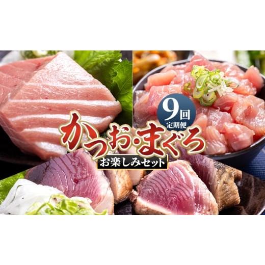 ふるさと納税 カツオ 高知県 香南市 9回定期便 [月替わり]かつお・まぐろ お楽しみセット - 定期便 国産 海鮮丼 漬け丼 煮物 鮪 マグロ 鰹 カツオ タタキ …