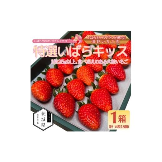 ふるさと納税 いちご 茨城県 - 茨城県産いちご 茨城県オリジナル品種 特選いばらキッス 計18粒(1箱)大粒・厳選 濱野いちご園 1707678