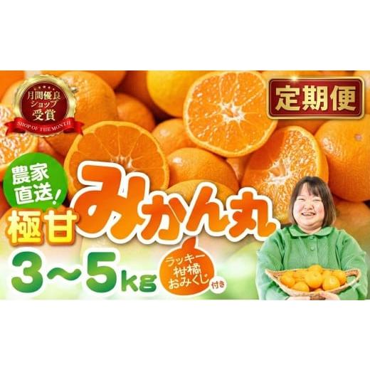 ふるさと納税 果物類 みかん 愛知県 豊橋市 3kg/3回お届け 極甘温州みかん『みかん丸』3kg 温州みかん みかん 蜜柑 ミカン 柑橘 旬 果物 フルーツ 柑橘 甘い…