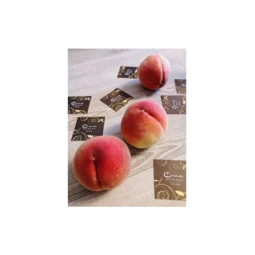 ふるさと納税 もも 山梨県 山梨市 5年連続TV出演達成 今、最も熱視線を注がれる『樹上完熟ブランド桃』2026年9月上旬より発送 1704745