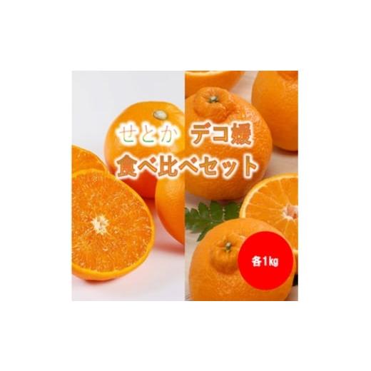 ふるさと納税 みかん・柑橘類 愛媛県 八幡浜市 みさき果樹園の大人気せとか・デコ媛各1kg B21-59 1705328