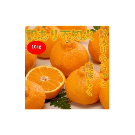 ふるさと納税 みかん・柑橘類 愛媛県 八幡浜市 訳あり みさき果樹園の不知火10kg C21-61 1705416
