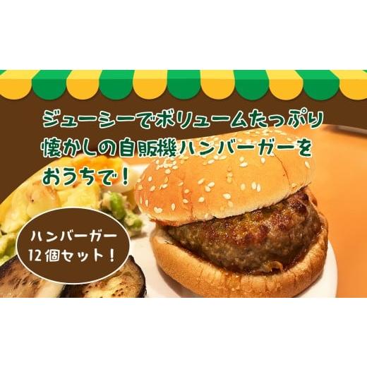 ふるさと納税 米・パン バーガー 長野県 飯田市 てりやきマヨ 12個 | ハンバーガー 定番 詰め合わせ セット 食べ比べ 長野県 飯田市 てりやきマヨ
