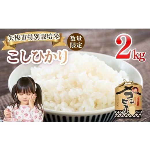 ふるさと納税 米 コシヒカリ 栃木県 矢板市 令和7年 栃木県産 こしひかり 2kg | 米 こめ ご飯 美味しい 選べる ふるさと 栃木県 矢板市 栃木県共通返礼品 ブラ…
