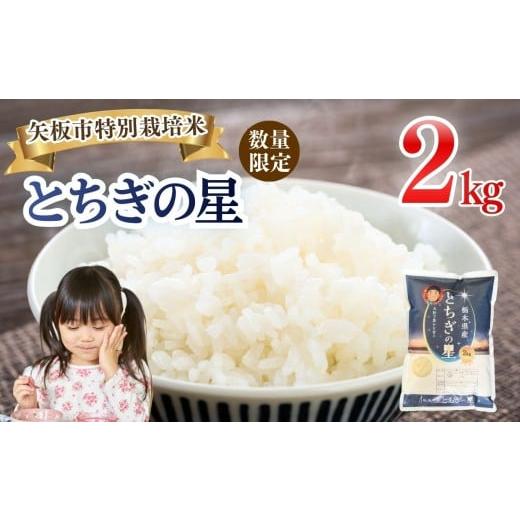 ふるさと納税 米 コシヒカリ 栃木県 矢板市 令和7年 栃木県産 とちぎの星 2kg | 米 こめ ご飯 美味しい 選べる ふるさと 栃木県 矢板市 栃木県共通返礼品 ブラ…