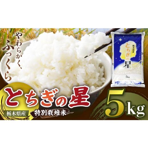 ふるさと納税 米 栃木県 矢板市 栃木県矢板市産 とちぎの星 5kg 特別栽培米 先行予約 新米 | 栃木県 矢板市 とちぎの星 5kg | 11,900円