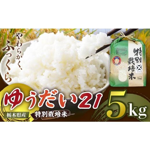 ふるさと納税 米 栃木県 矢板市 栃木県矢板市産 ゆうだい21 5kg 特別栽培米 先行予約 新米 | 栃木県 矢板市 ゆうだい21 5kg | 12,000円