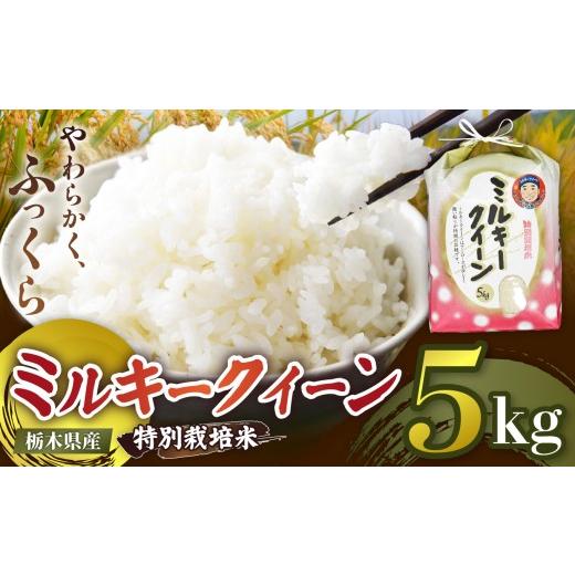 ふるさと納税 米 栃木県 矢板市 栃木県矢板市産 ミルキークイーン 5kg 特別栽培米 先行予約 新米 | 栃木県 矢板市 ミルキークイーン 5kg | 12,000円