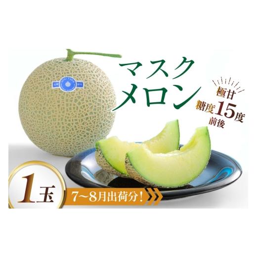 ふるさと納税 メロン メロン青肉 長崎県 島原市 AJ650 令和8年7-8月出荷分 堀農園 マスクメロン 1玉 メロン めろん 青肉メロン 黄緑 果物 フルーツ おいしい …