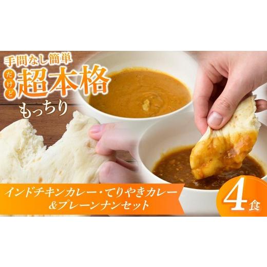 ふるさと納税 加工品等 埼玉県 所沢市 冷凍カレーナンセット インドチキンカレー てりやきカレー 4食セット | カレー かれー ナン なん チキンカレー インドカ…