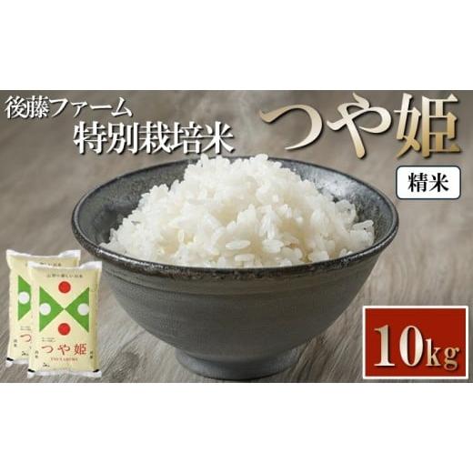 ふるさと納税 米 つや姫 山形県 酒田市 令和7年産 精米 特別栽培米 つや姫 10kg (5kg×2袋) 山形県庄内産 東北 山形県 酒田市 庄内地方 庄内平野 白米 ブラン…