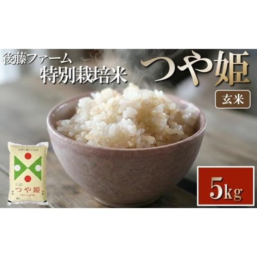 ふるさと納税 玄米 山形県 酒田市 令和7年産 玄米 特別栽培米 つや姫 5kg (5kg×1袋) 山形県庄内産 東北 山形県 酒田市 庄内地方 庄内平野 ブランド米 庄内米 …