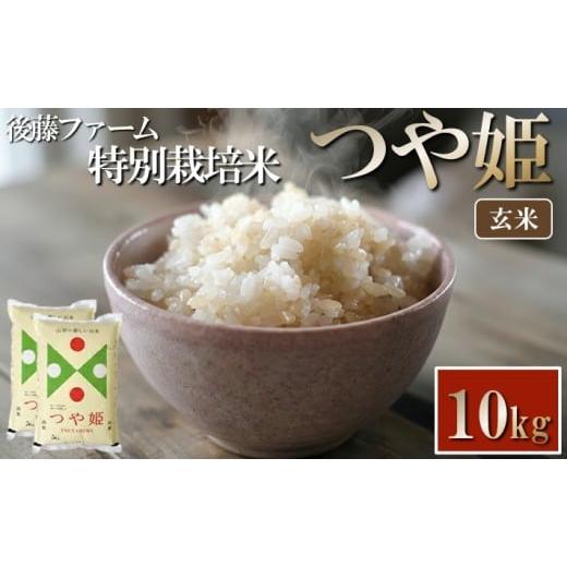 ふるさと納税 玄米 山形県 酒田市 令和7年産 玄米 特別栽培米 つや姫 10kg (5kg×2袋) 山形県庄内産 東北 山形県 酒田市 庄内地方 庄内平野 ブランド米 庄内米…