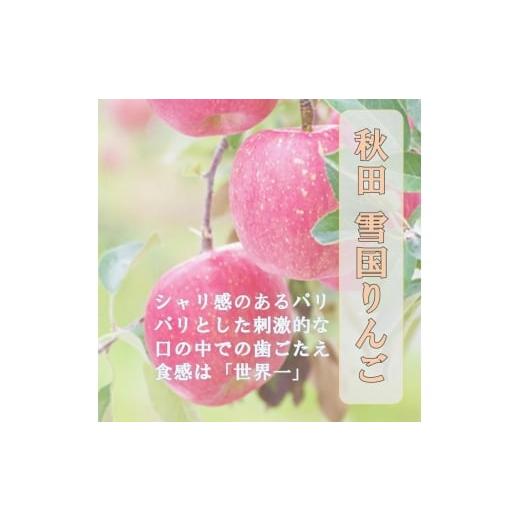 ふるさと納税 りんご 秋田県 湯沢市 秋田県産 りんご ふじ 10kg 最高の甘味と香り 産地直送 BARUバイオジャパン吉村(株)