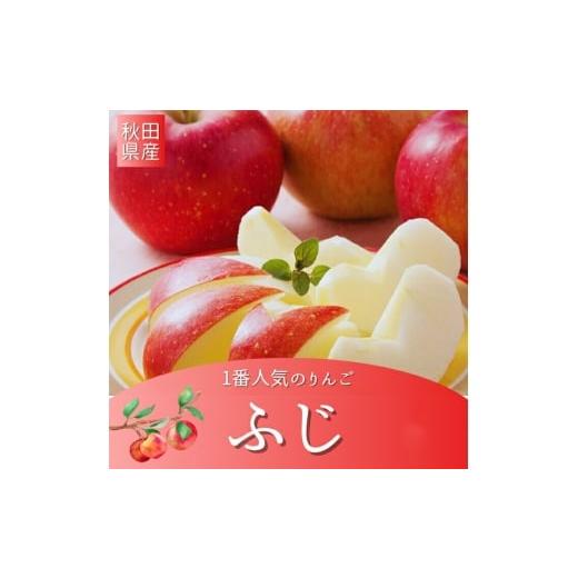 ふるさと納税 りんご 秋田県 湯沢市 秋田県産 りんご ふじ 訳あり 約3kg 家庭用 BARUバイオジャパン吉村(株)
