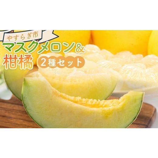 ふるさと納税 果物の詰合せ 高知県 香南市 マスクメロン&amp;柑橘2種セット フルーツ 果物 果実 青果 メロン 濃厚 柑橘 蜜柑 文旦 みかん 小夏 きんかん 訳あ…