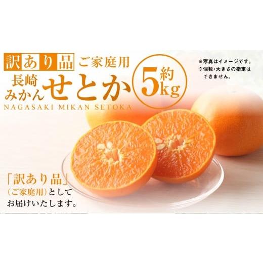 ふるさと納税 果物類 みかん 長崎県 長崎市 訳あり品 長崎みかん(せとか)約5kg みかん フルーツ 果物 くだもの ミカン 蜜柑 長崎 訳あり ワケアリ 2026年2…