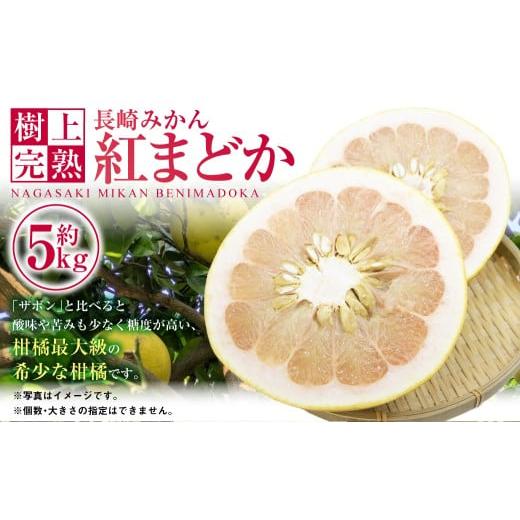 ふるさと納税 果物類 みかん 長崎県 長崎市 樹上完熟 長崎みかん(紅まどか)約5kg みかん フルーツ 果物 くだもの ミカン 蜜柑 長崎 2026年2月上旬-4月下旬…
