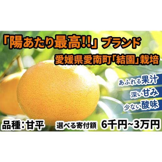 ふるさと納税 果物類 みかん 愛媛県 愛南町 甘平 みかん 陽あたり最高 農家直送 愛媛限定種 (濃い甘み/たっぷり果汁/少ない酸味)1.3万円2.8kg ミカン 西之…
