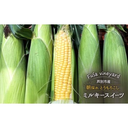 ふるさと納税 とうもろこし 北海道 芦別市 北海道芦別市産 とうもろこし ミルキースイーツ 朝採れ 当日出荷 数量限定 生食可 FuSa vineyard 夏野菜 No.5342-09…