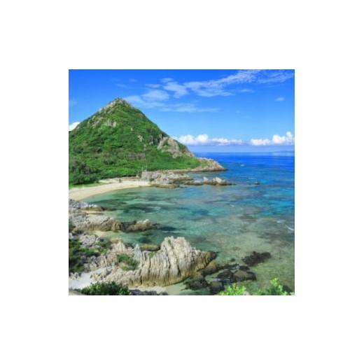 ふるさと納税 宿泊券 沖縄県 伊是名村 伊是名島へ泊まろう 島内の4つの施設から選べる1泊2日ペア宿泊チケット(2食付き) 1706925