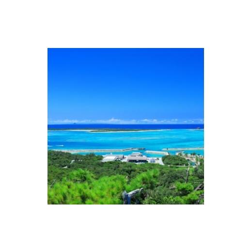 ふるさと納税 イベントやチケット等 沖縄県 伊是名村 伊是名島を満喫 ファンダイビング(1日3ダイブ×2日)・フェリー往復・宿泊券(2食付き3泊4日) 1706985