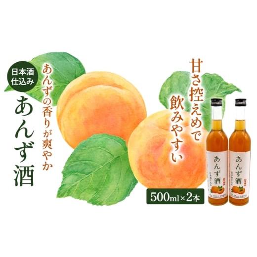 ふるさと納税 お酒 リキュール 埼玉県 鳩山町 あんず酒2本セット 果実酒 リキュール お酒 アルコール 日本酒仕込み フルーティー 酸味 香り 甘さ控えめ 後味す…