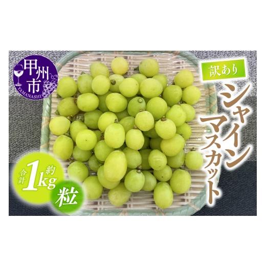 ふるさと納税 ぶどう マスカット 山梨県 甲州市 訳あり 甲州市産シャインマスカットつぶつぶ 約1kg 2026年発送 (ATP)A09-821 シャインマスカット 葡萄 ぶど…