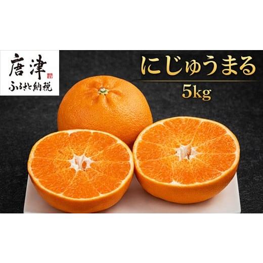 ふるさと納税 果物類 みかん 佐賀県 唐津市 『先行予約』 令和8年3月上旬より順次発送 にじゅうまる 5kg 佐賀県産 高級柑橘みかん 果物フルーツ 柑橘