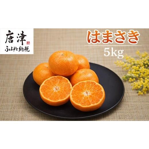 ふるさと納税 果物類 みかん 佐賀県 唐津市 『先行予約』 令和9年2月上旬より順次発送 特選甘熟みかん はまさき 5kg 佐賀県産 果物フルーツ 柑橘