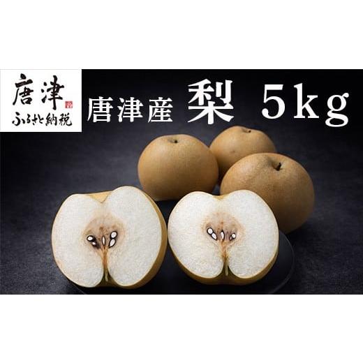 ふるさと納税 果物類 みかん 佐賀県 唐津市 『先行予約』 令和8年7月上旬より順次発送 唐津産 梨 5kg 旬の味覚 果物 フルーツ 幸水 豊水