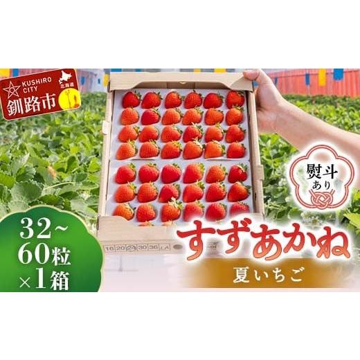 ふるさと納税 いちご 北海道 釧路市 無地熨斗あり 2026年先行予約 北海道産いちご すずあかね 32〜60粒×1箱 2026年6月末から順次発送 夏いちご イチゴ 苺 フ…