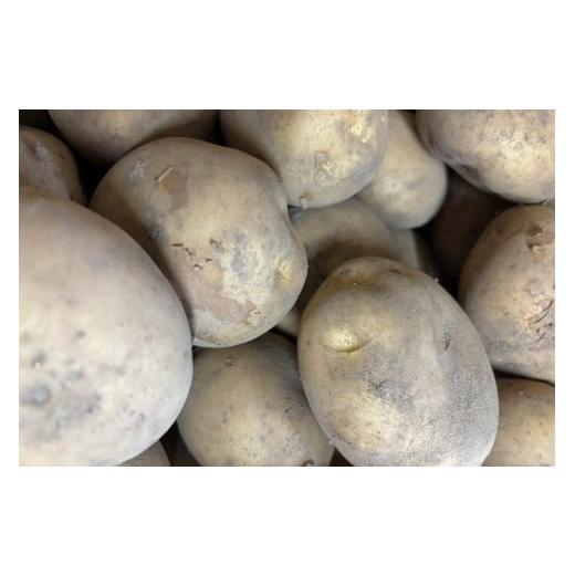 ふるさと納税 野菜類 じゃがいも 京都府 京丹後市 自然栽培じゃがいも 2.5kg 京都・京丹後産 自然栽培 旬野菜 じゃがいも 芋 いも 野菜 やさい 根菜 旬 京都 …