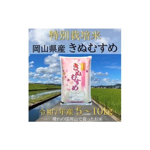 ふるさと納税 米 岡山県 和気町 DD-91 お米 特別栽培米 特Aランク 岡山県産「きぬむすめ」5kg(令和7年産)