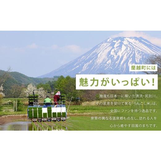 ふるさと納税 美容 北海道 蘭越町 シラカシャンプープラス 500ml 6本 洗髪 美容 国産 生活用品 シャンプー 合計 3000mlの画像