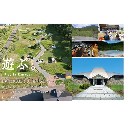ふるさと納税 美容 北海道 蘭越町 シラカシャンプープラス 500ml 6本 洗髪 美容 国産 生活用品 シャンプー 合計 3000mlの画像