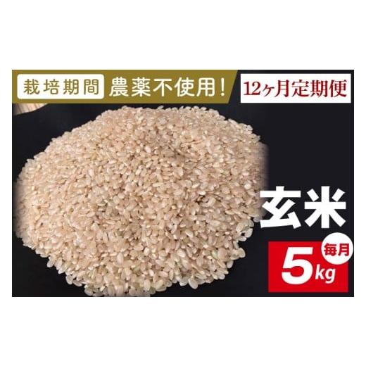 ふるさと納税 米 コシヒカリ 茨城県 行方市 2026年9月中旬発送開始 12ヶ月定期便 栽培期間農薬不使用 茨城県産 R8年産 こしひかり玄米 5kg|茨城県 行方市 …
