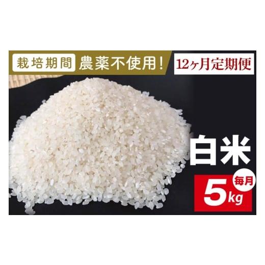ふるさと納税 米 コシヒカリ 茨城県 行方市 2026年9月中旬発送開始 12ヶ月定期便 栽培期間農薬不使用 茨城県産 R8年産 こしひかり白米 5kg|茨城県 行方市 …